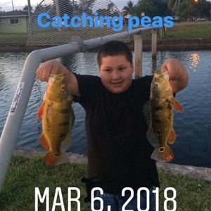 Meet your Posher, Luis